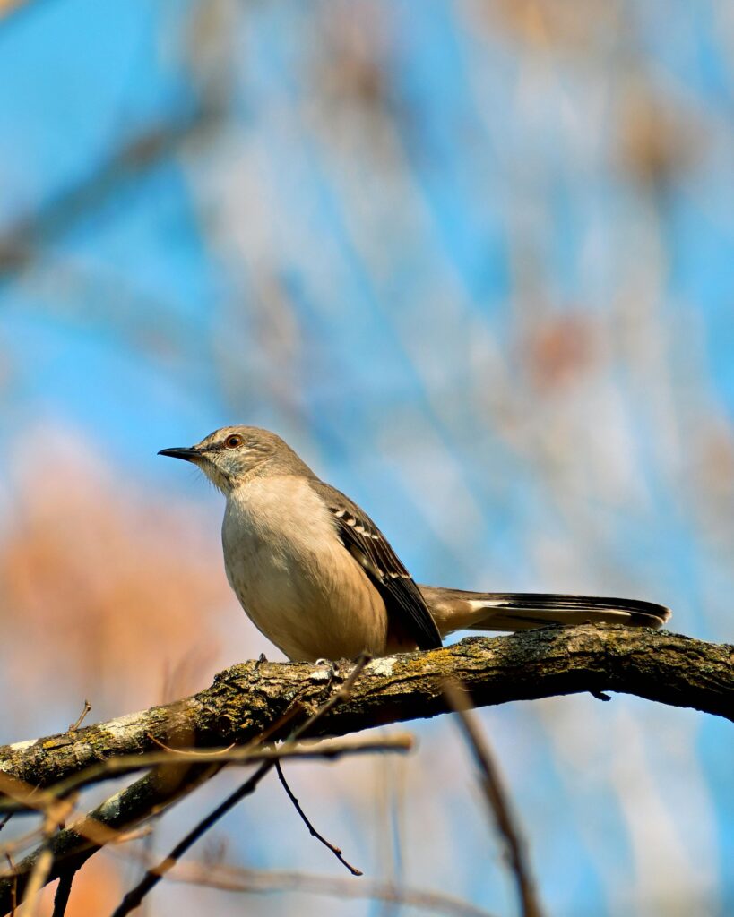 pexels msuatgunerli 34961963 pexels msuatgunerli 34961963
